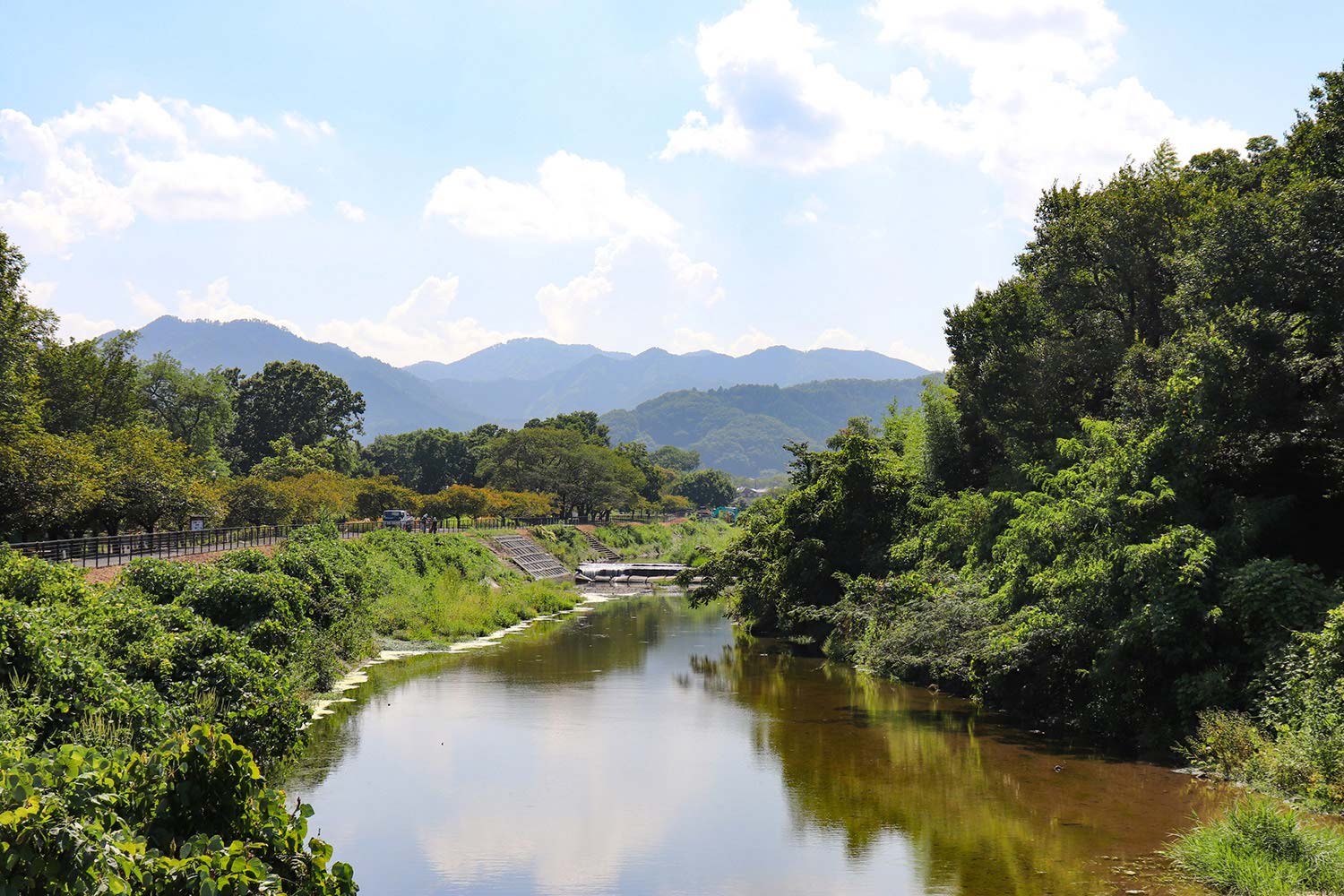 北浅川｜アメニティーライフ八王子