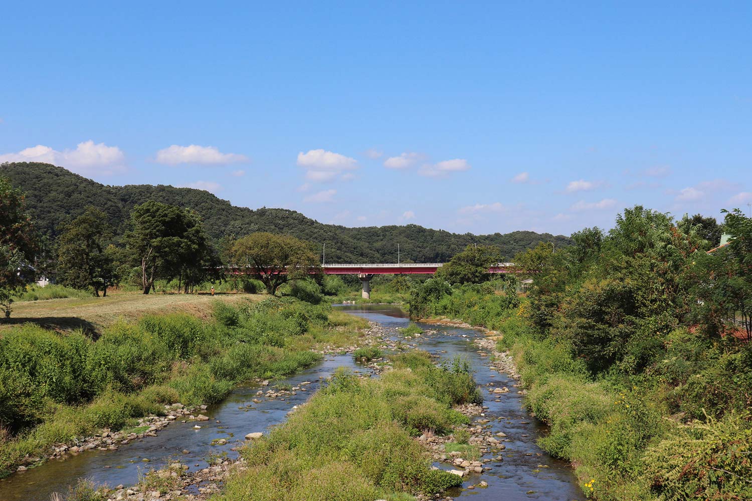 北浅川｜アメニティーライフ八王子